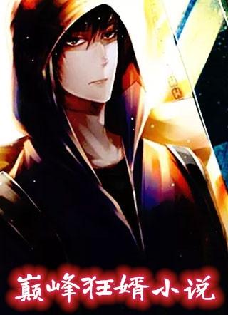 巅峰狂婿小说
