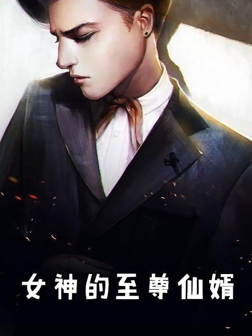 女神的至尊仙婿