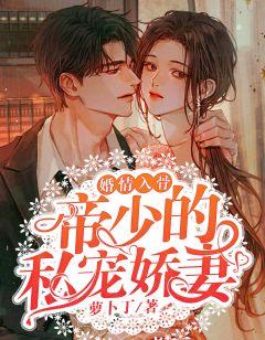 婚情入骨:帝少的私宠娇妻
