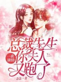 一夜锁情总裁先生你夫人又跑了