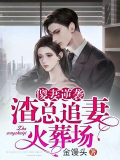 傻妻逆袭:渣总追妻火葬场