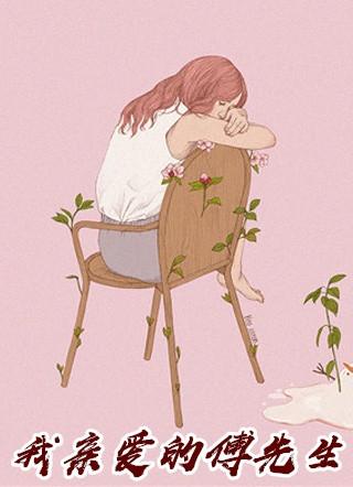 我亲爱的傅先生