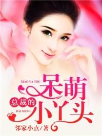 总裁的呆萌小丫头