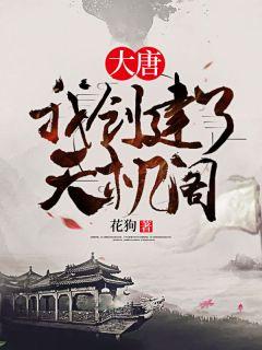 大唐:我创建了天机阁