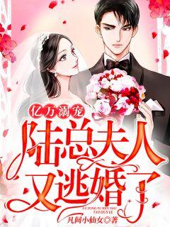 亿万溺宠:陆总,夫人又逃婚了