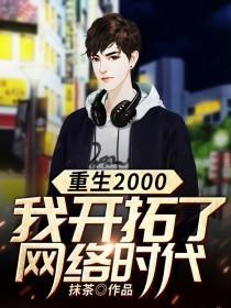 重生2000:我开拓了网络时代