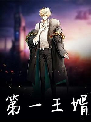 第一王婿