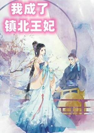 我成了镇北王妃