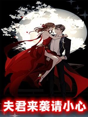 夫君来袭请小心
