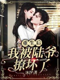 重生后我被陆爷撩坏了
