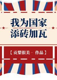 我为国家添砖加瓦