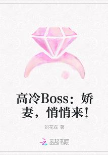 高冷Boss：娇妻，悄悄来！