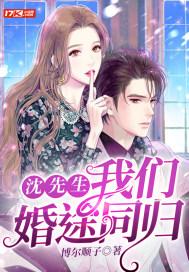 沈先生,我们婚途同归