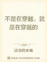 不是穿越,就是在穿越路上