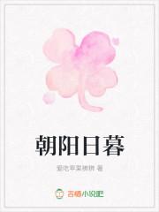 朝阳日暮