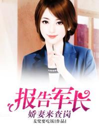 报告军长:娇妻来查岗