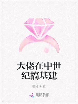 大佬在中世纪搞基建