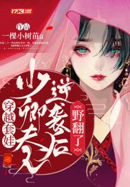 穿越套娃:少卿夫人逆袭后野翻了
