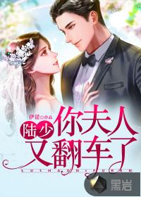 陆少,你夫人又翻车了