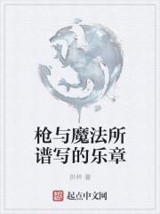 枪与魔法所谱写的乐章