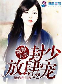 暖婚入骨:封少放肆宠