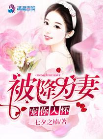 宠你入怀:被降为妻