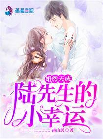 婚然天成:陆先生的小幸运