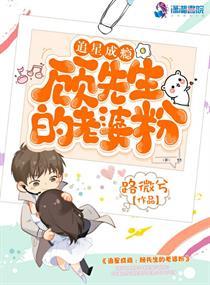 追星成瘾:顾先生的老婆粉