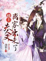 楼主,夫人又离家出走了