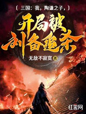 三国:我,陶谦之子,开局被刘备追杀!