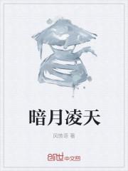 暗月凌天