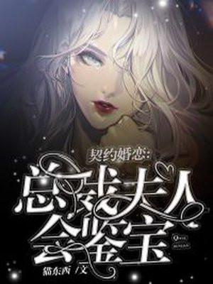 契约婚恋:总裁夫人会鉴宝