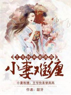 小妻难缠:王爷快来举高高