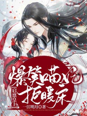 启禀皇上:爆笑喵妃拒暖床