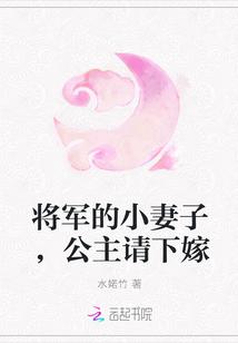 将军的小妻子,公主请下嫁