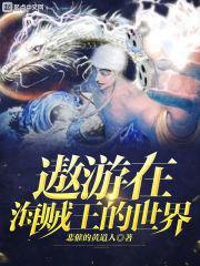 遨游在海贼王的世界