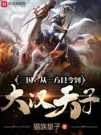 三国:从一方县令到大汉天子