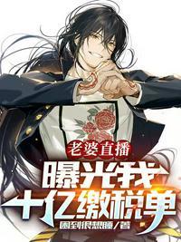 老婆直播,曝光我十亿缴税单