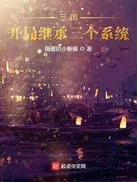 三国:开局继承三个系统孙暠