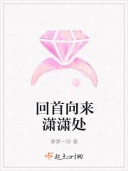 回首向来潇潇处