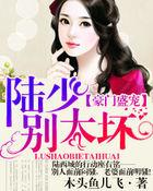 豪门盛宠:陆少别太坏