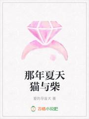 那年夏天猫与柴
