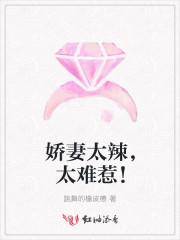娇妻太辣,太难惹!