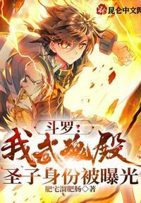 斗罗:我武魂殿圣子身份被曝光刘衡