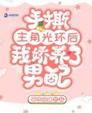 手撕主角光环后我娇养了男配云溪