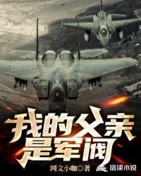 我的父亲是军阀