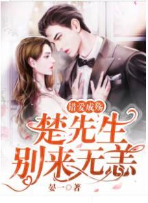 错爱成殇:楚先生,别来无恙