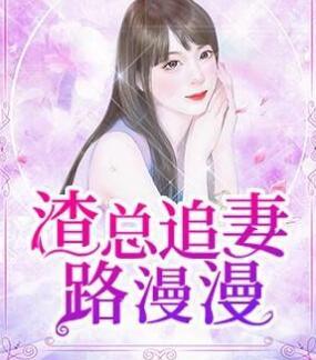 渣总追妻路漫漫