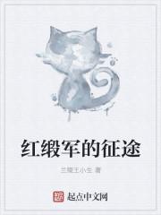 红缎军的征途