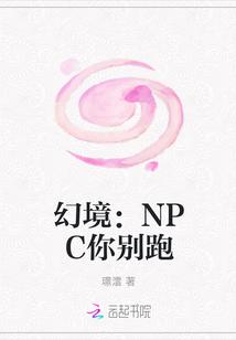 幻境:NPC你别跑